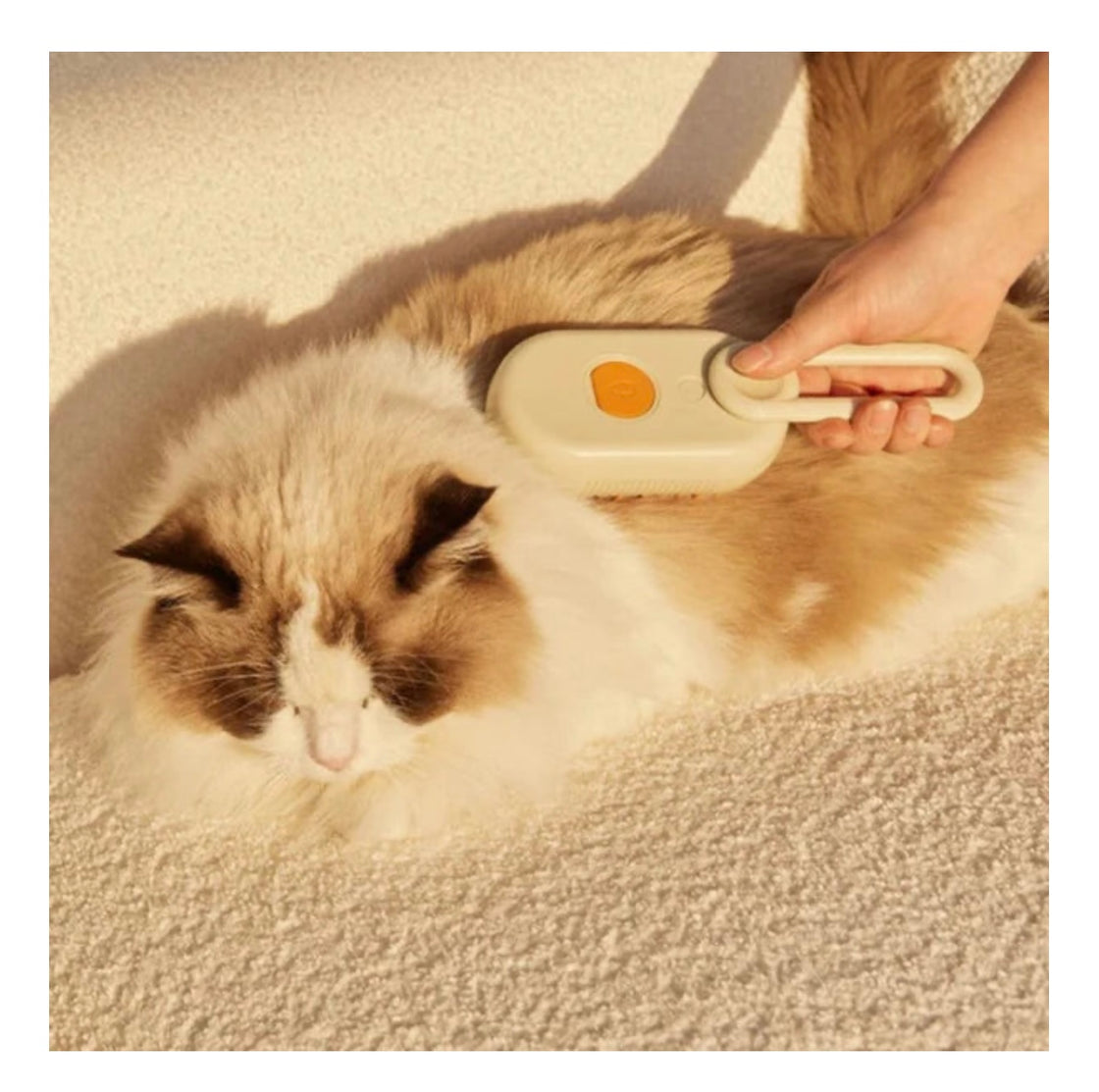 PawPurr™ For Pets