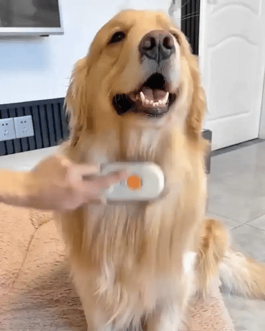 PawPurr™ For Pets